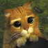 nfish���j�Y��