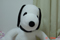 sonicli���j�Y��